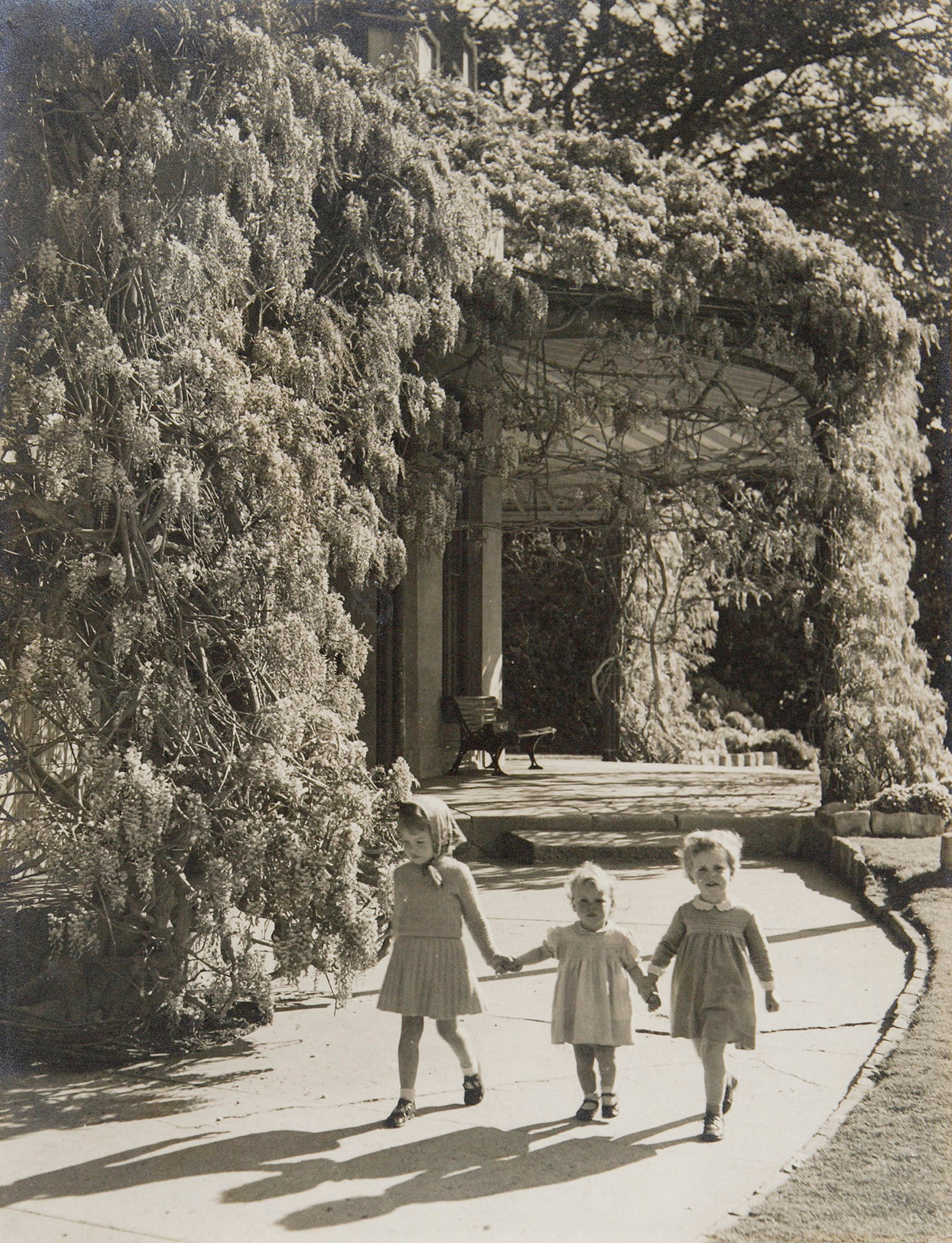Wisteria time at Vaucluse House, September 1939