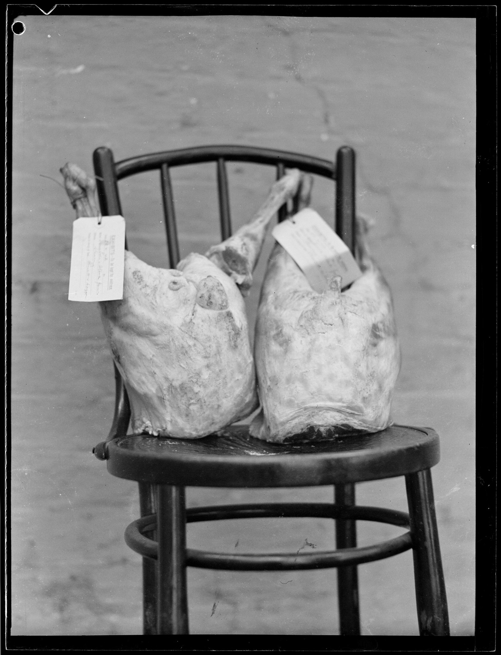 Two half pig carcasses placed on a wooden chair with tags reading, EXHIBITS - To be kept for evidence.