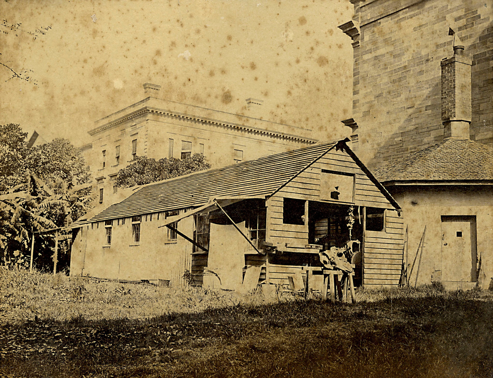 B/W photograph showing a wood panelled carpenter's workshop in the grounds of Australian Museum with stone walled octagonal cottage and stone walls of the main museum building on the right.