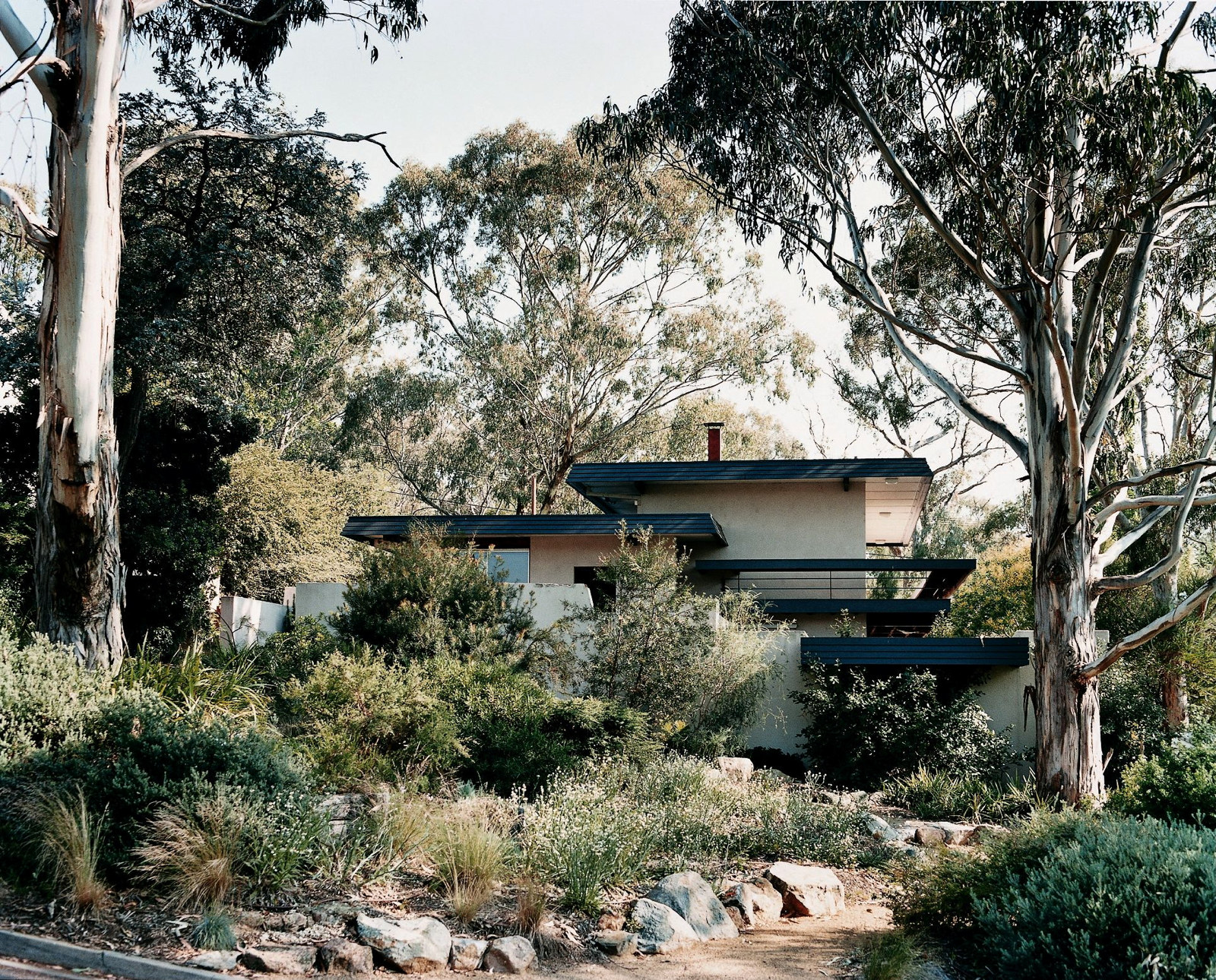 This is a photograph of a split level house set among tress and a natural bush landscape