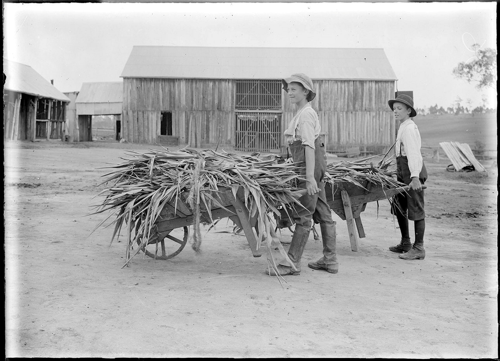 Government Printing Office; NRS 4481, Glass negatives NRS-4481-4-161-[AF00198139] Agricultural College Boys [Department of Agriculture] [no date]