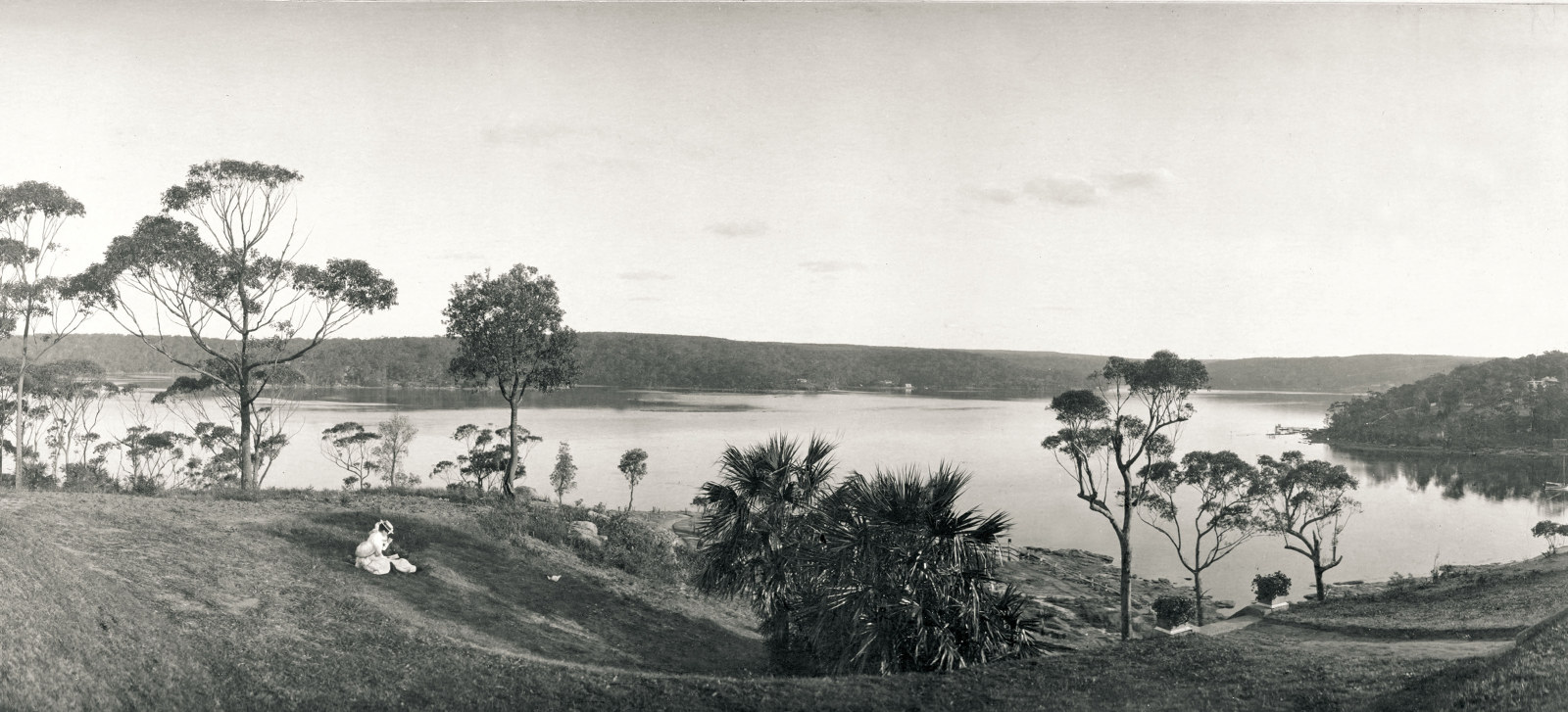 Panoramic image of the soft hills, lawn and view over the Port Hacking with a lady in white dress sitting in the foreground.