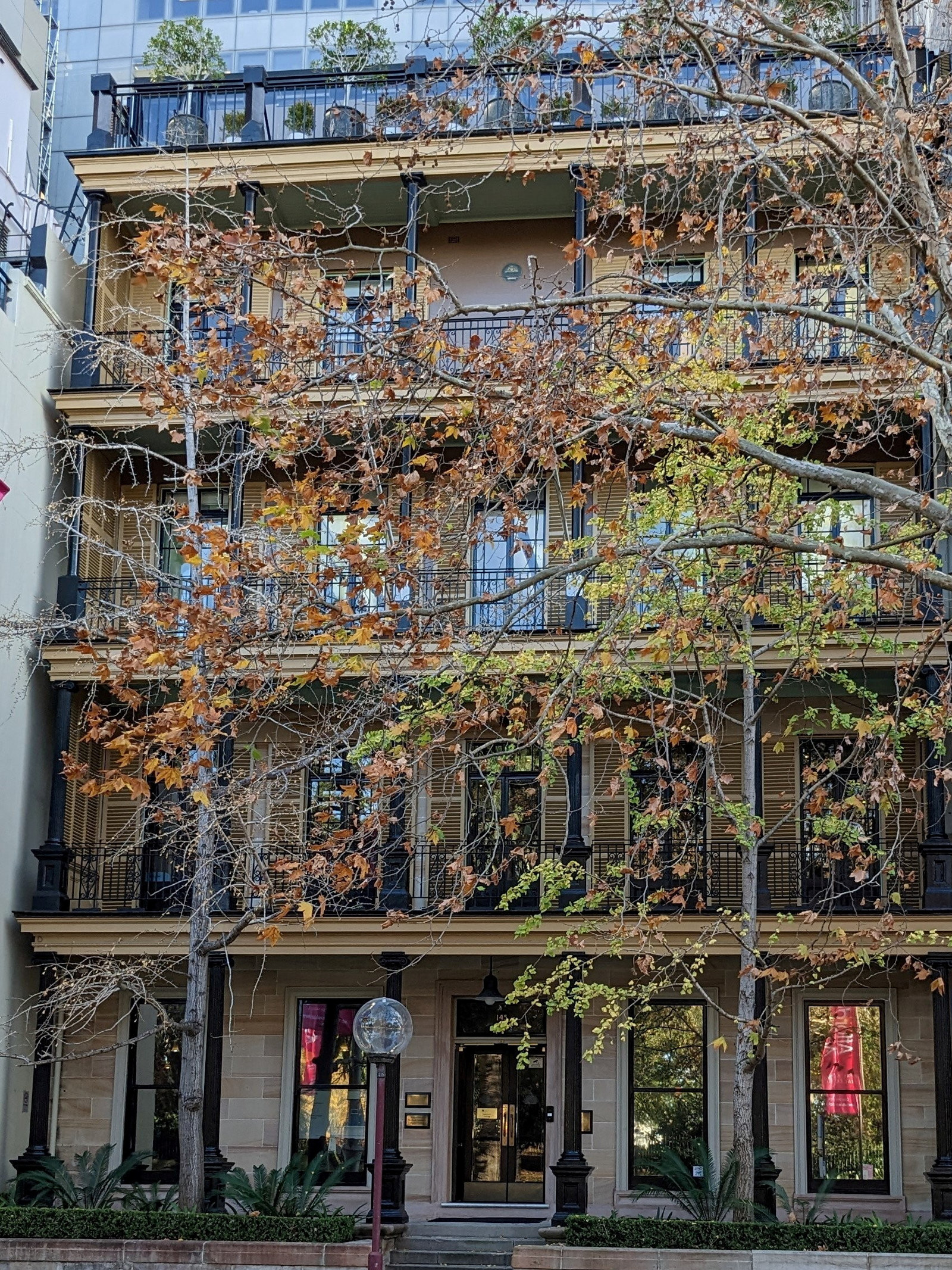 Royal Australasian College of Physicians for Sydney Open 2025