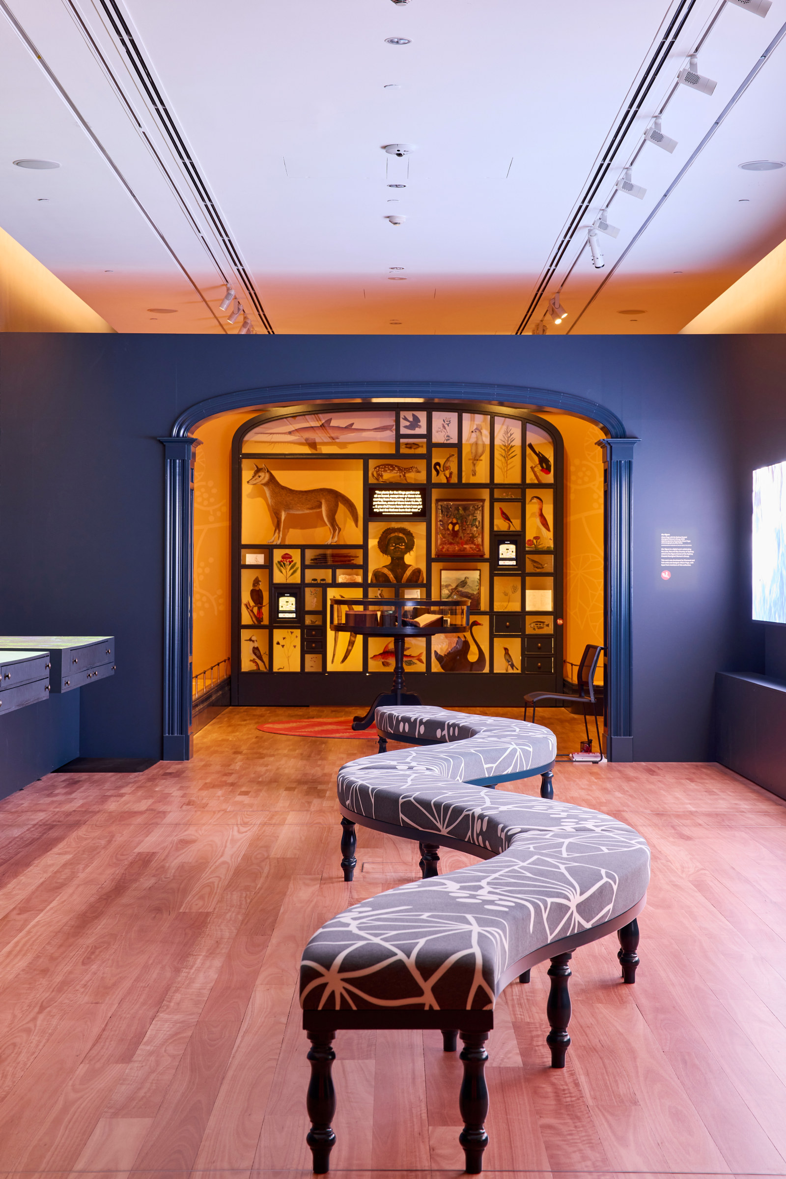 Seeing Sydney, Knowing Country exhibition at the Museum of Sydney