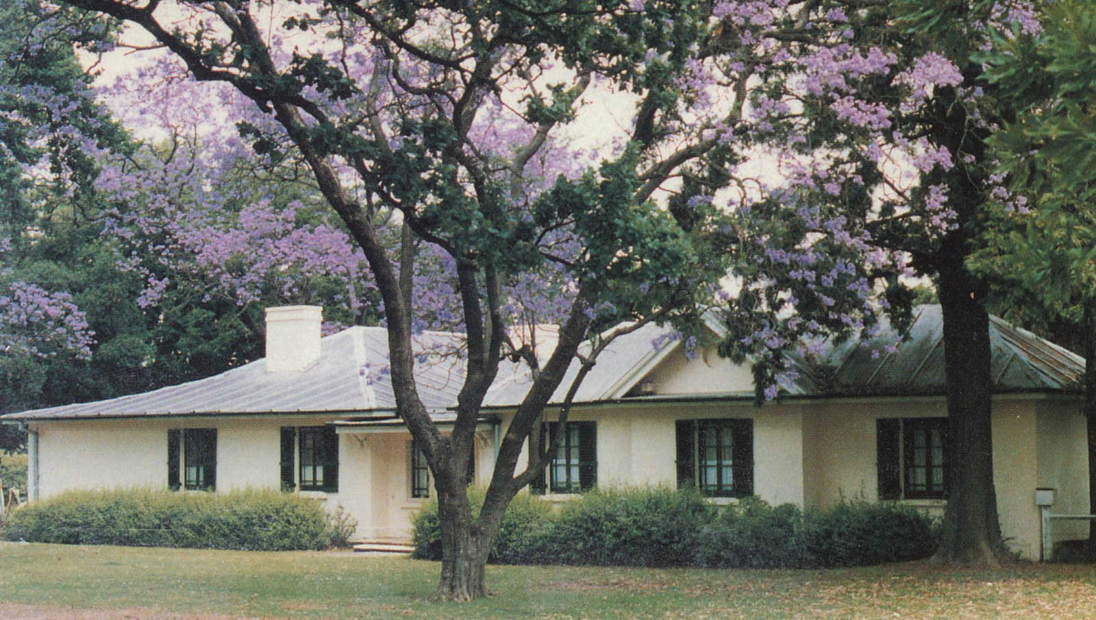 2026 Parramatta Open - Hambledon Cottage